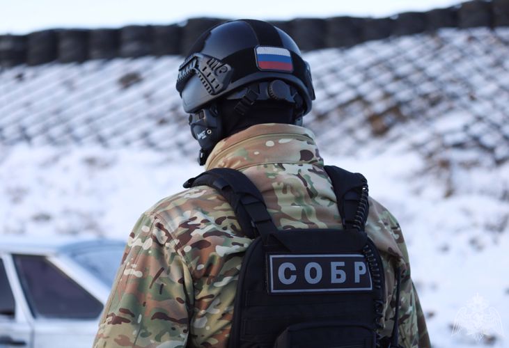 При силовой поддержке рязанского СОБР задержаны подозреваемые в серии хищений с использованием телефона и мобильного банка