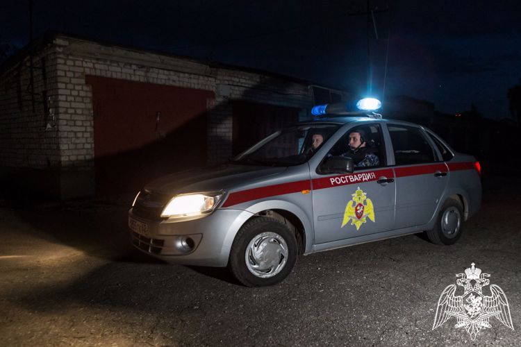 В Рязанской области Росгвардия задержала нетрезвого водителя