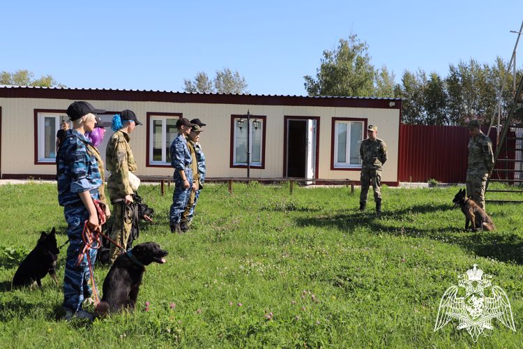 Будущие кинологи проходят практику на учебном центре подготовки рязанских спецподразделений Росгвардии