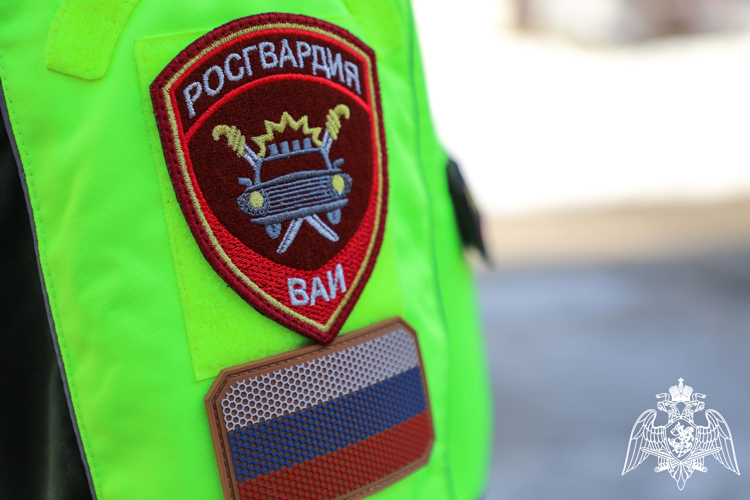 Сотрудники Росгвардии напомнили рязанским школьникам о правилах безопасности на дорогах