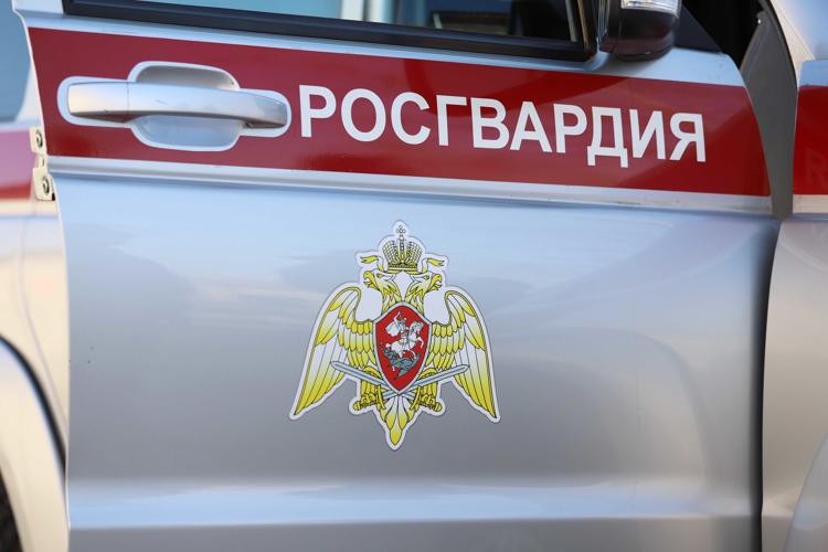Росгвардейцы задержали подозреваемых в краже из рязанского супермаркета