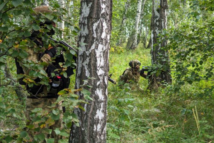 Сотрудники СОБР провели плановые занятия по боевой подготовке в лесном массиве