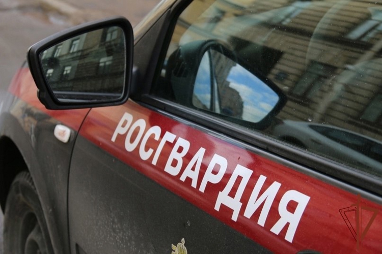 В Рязани сотрудники Росгвардии пресекли сбыт 24 тысяч пачек немаркированных сигарет 