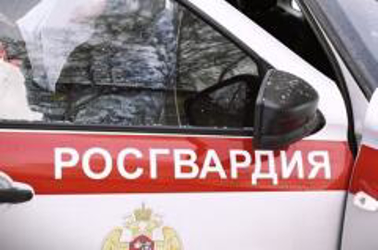 Сотрудники вневедомственной охраны Росгвардии задержали нетрезвого водителя в Рязанской области