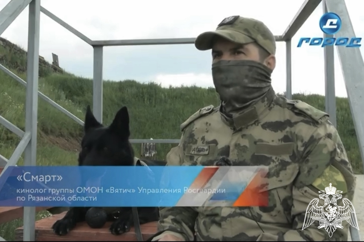 Ада и мы (видео)
