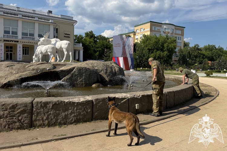Кинологи ОМОН «Вятич» обеспечили безопасность празднования Дня России в Рязани