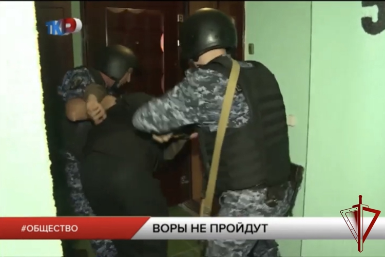 Воры не пройдут (видео)