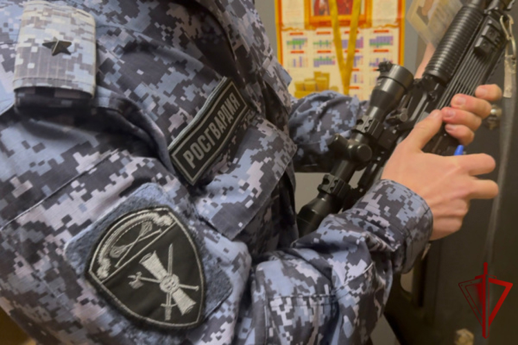 За 7 месяцев 2026 года рязанские сотрудники Росгвардии приняли более 10 тысяч заявлений на получение государственных услуг